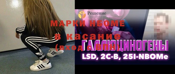 шишки Арсеньев