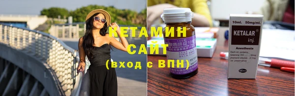 шишки Арсеньев