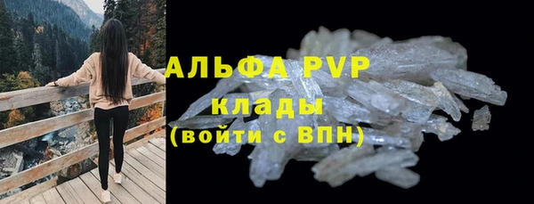 шишки Арсеньев