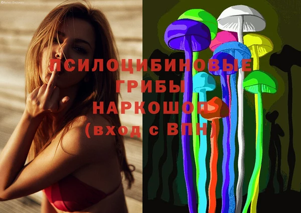 тгк Аркадак