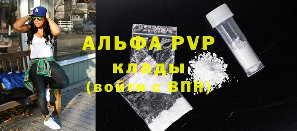 гидра Богородск
