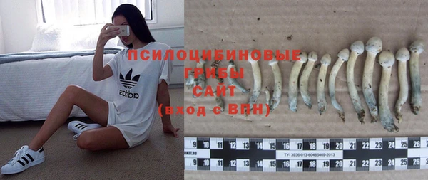 тгк Аркадак