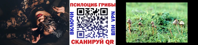 Галлюциногенные грибы GOLDEN TEACHER  Лабинск 