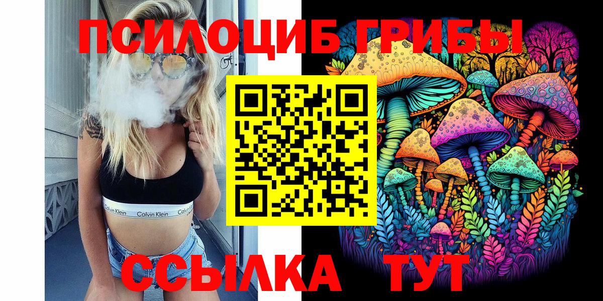 купить наркотик  Вход с VPN  Лабинск  Галлюциногенные грибы Magic Shrooms  Псилоцибиновые грибы GOLDEN TEACHER 