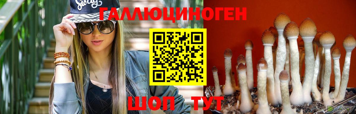 Галлюциногенные грибы прущие грибы Лабинск
